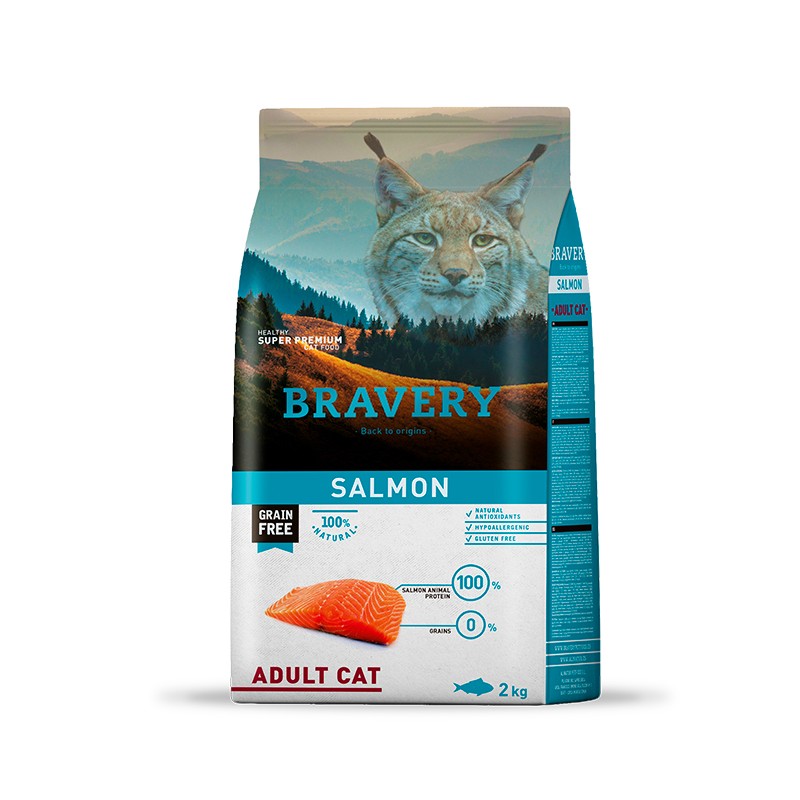 bravery-salmon-adult-cat
